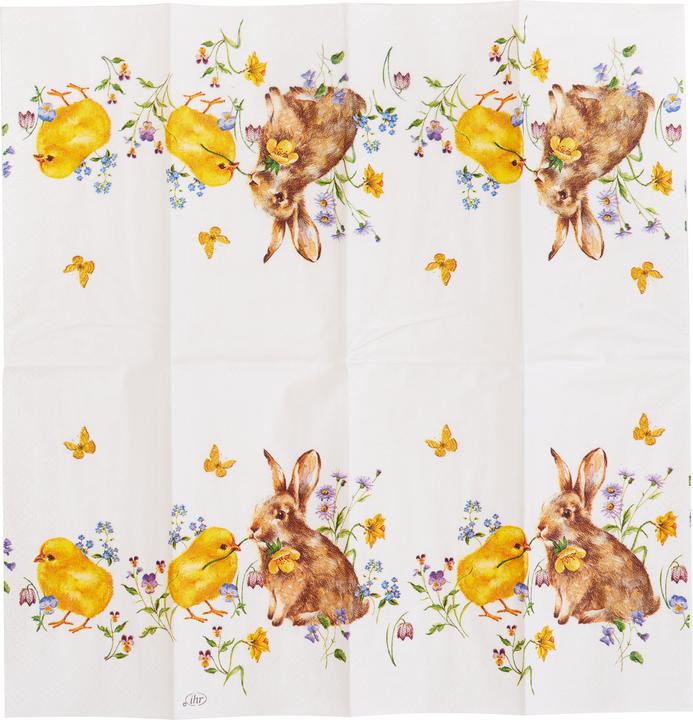 Image du produit IHR Mouchoirs BUNNY AND CHICK