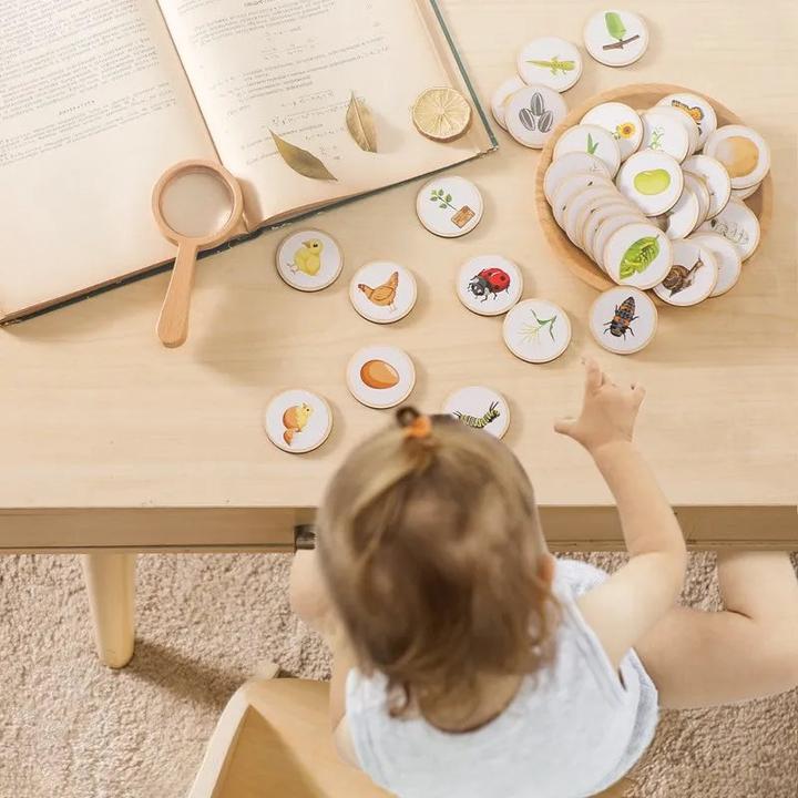 Image du produit Activity Board Jouet en bois pour bébé Animal Life Cycle Cognition Wooden Board Infant Toy Early Educational Baby