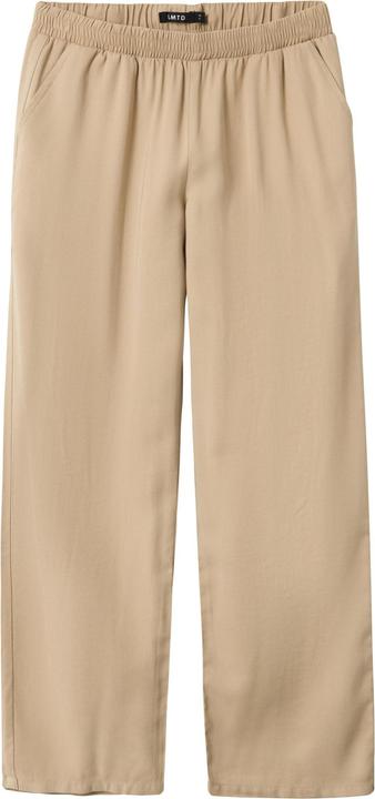 Lmtd Low Waist Straight Hose (170)
