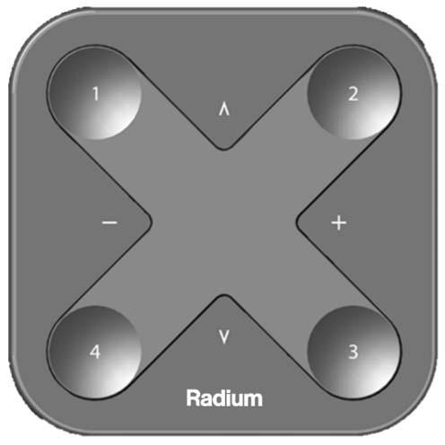 Image du produit Radium SMART Blue Remote noir