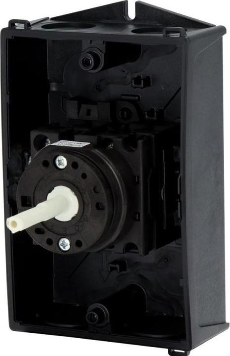 Actual product image Eaton Isolator 20A 3 Pole with black handle