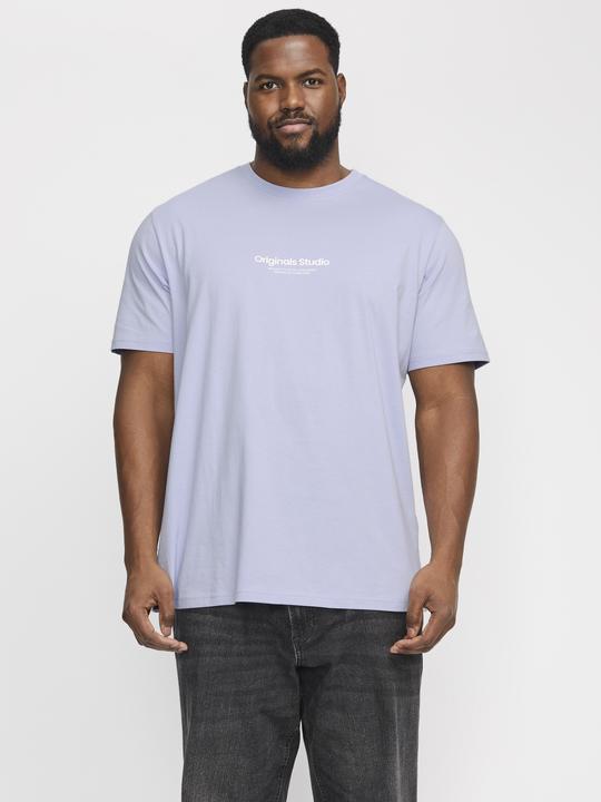 Produktbild Jack & Jones Jorvesterbro Tee Ss Crew Neck Noos Pls (4XL)