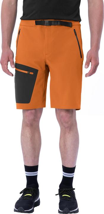 Actual product image Vaude Badile Shorts (48)