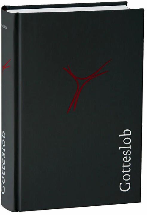 Actual product image Divine Praise for the Diocese of Aachen Standard Edition grey (German, 2013)