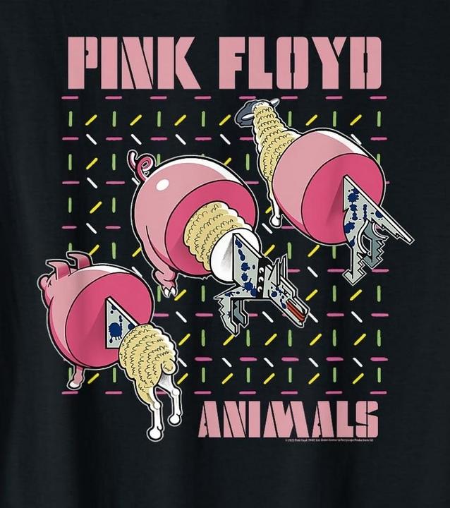 Produktbild Pink Floyd TShirt (L)
