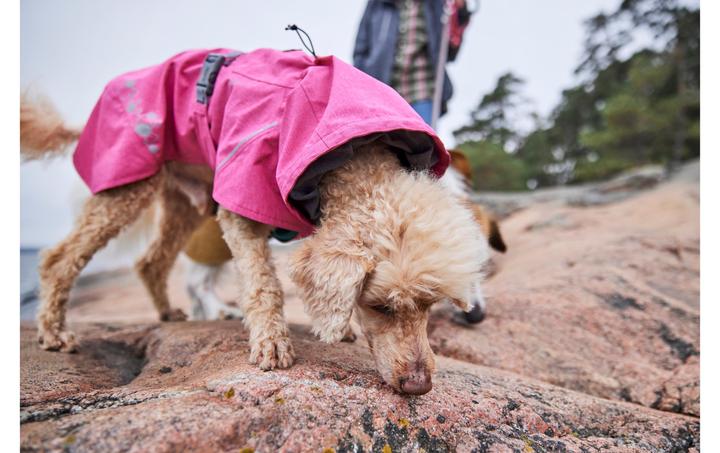 Actual product image Hurtta Monsoon V2 Eco Pink mackintosh, 40 cm (40, Dog raincoat)