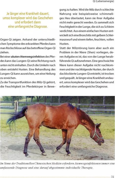 Actual product image Akupunktur beim Pferd (German, Ina Gösmeier, 2022)
