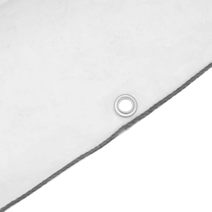Image du produit VidaXL Bâche transparente avec oeillets (400 x 500 cm)