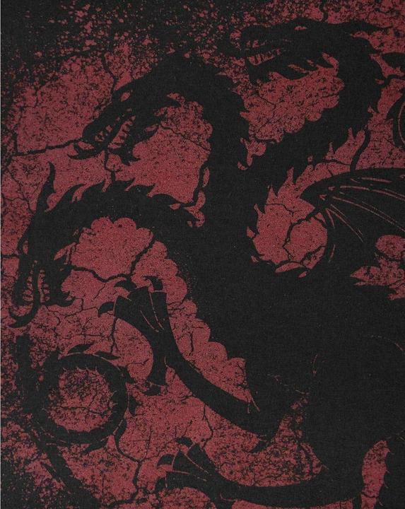 Produktbild Game of Thrones TShirt (S)