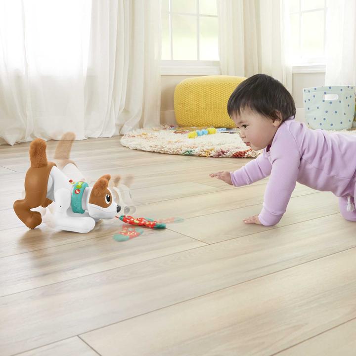 Immagine prodotto Fisher-Price Cane gattonante Bello
