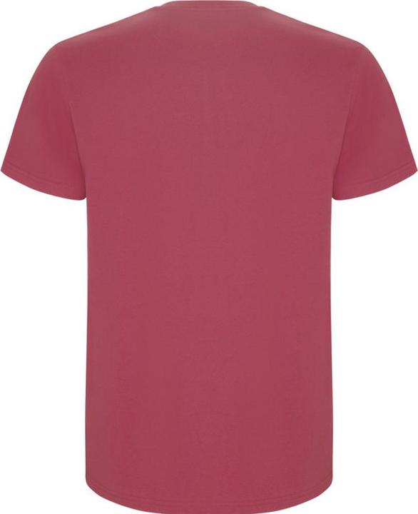 Image du produit Alpinia - T-shirt STAFFORD - Homme (3XL)