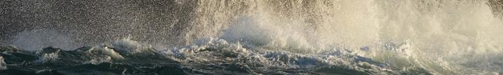 Actual product image Sony Alpha 1 (50.10 Mpx, Full frame)