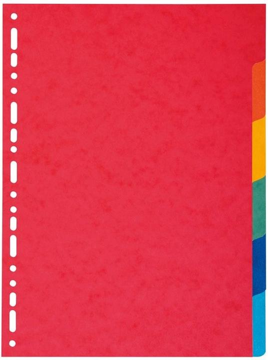 Exacompta Blank register - cardboard