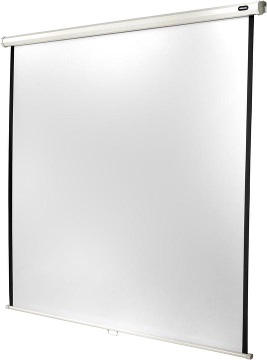 Actual product image Celexon Rollo Economy (122.44", 1:1)