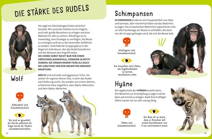Immagine prodotto National Geographic Die tödlichsten Tiere. Ein aufregendes Count-Down der gefährlichsten Tiere (Top Ten) (Tedesco, Cristina Banfi, Massimo Miato, 2024)