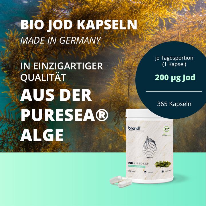 Produktbild Brandl Jod aus Bio Kelp Vegan (1 Stück, Kapseln, 210 g)