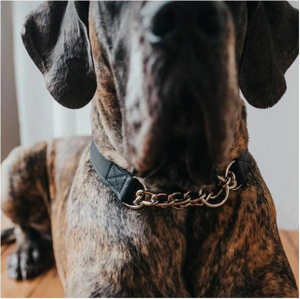 Image du produit Hunter Collier avec chaîne Aalborg (45, Chien)