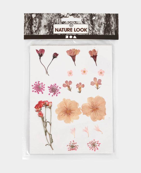 Actual product image Creativ Company Pressed (Dried flowers)