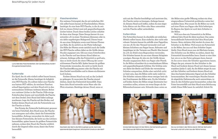 Produktbild Kosmos Hunde beschäftigen mit Martin Rütter (Deutsch, Martin Rütter, Andrea Buisman, 2022)