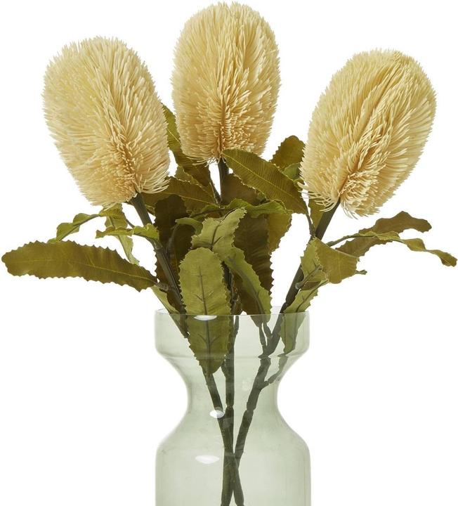 Immagine prodotto Hill Interiors Banksia Serrata Fiore Artificiale (65 cm)
