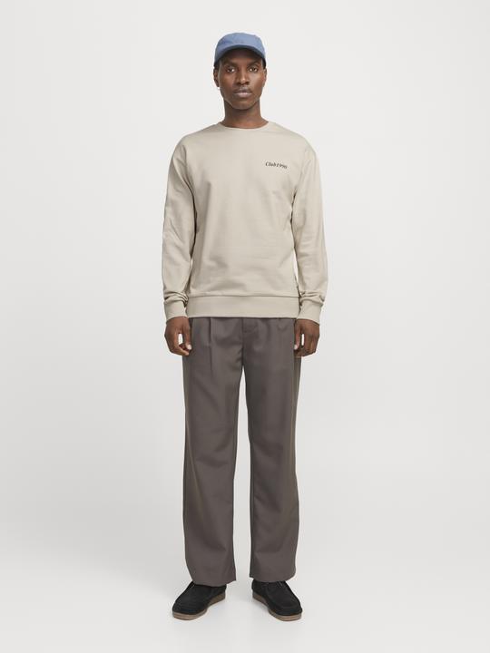 Image du produit Jack & Jones Jjebradley Graphic Sweat Crew Noos (S)