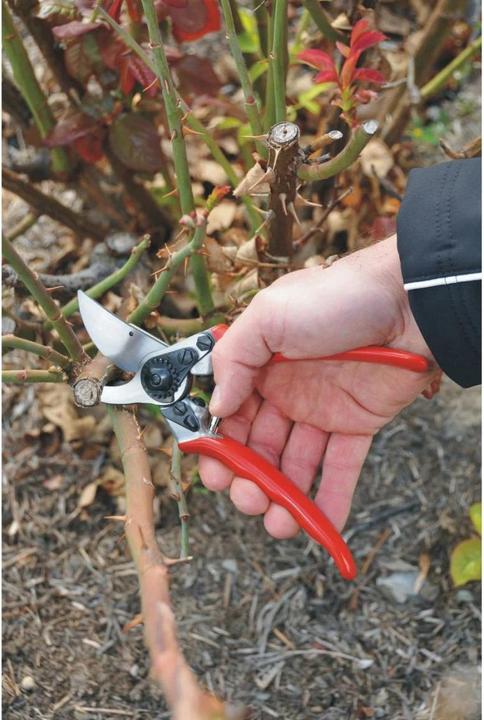 Produktbild Felco Gartenschere 11