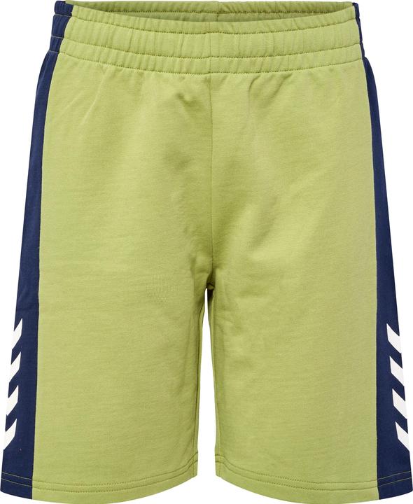Image du produit hummel Hmlrush Block Shorts (134)