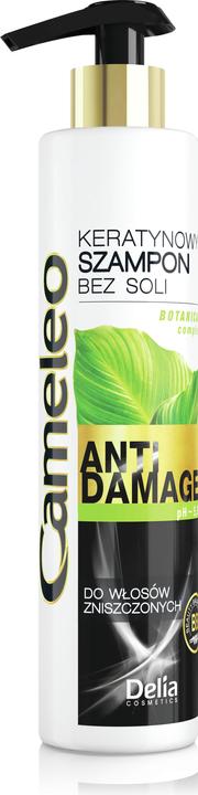 Delia Cosmetics Cameleo BB (250 ml, Liquid shampoo)