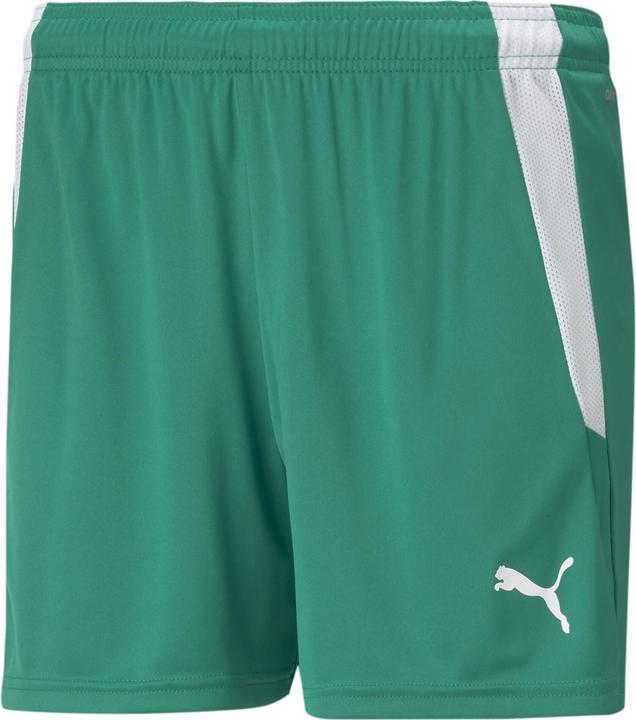 Actual product image Puma teamLIGA Shorts W (M)