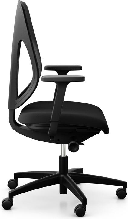 Actual product image Giroflex Xtreme