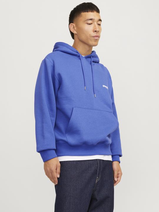 Actual product image Jack & Jones Jcounion Print Sweat Hood Noos (XS)