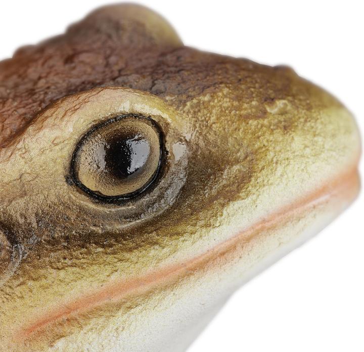 Image du produit Relaxdays Statue de jardin Crapaud