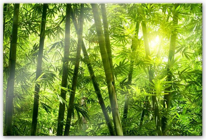 Actual product image Trenddeko Sunshine in the bamboo forest (120 x 75 cm)
