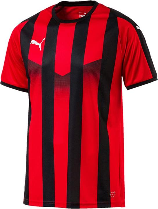 Image du produit Puma Liga Jersey Striped (S)