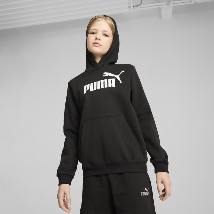 Actual product image Puma ESS No. 1 Logo Hoodie FL G (164)