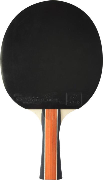 Actual product image Cornilleau Sport 300