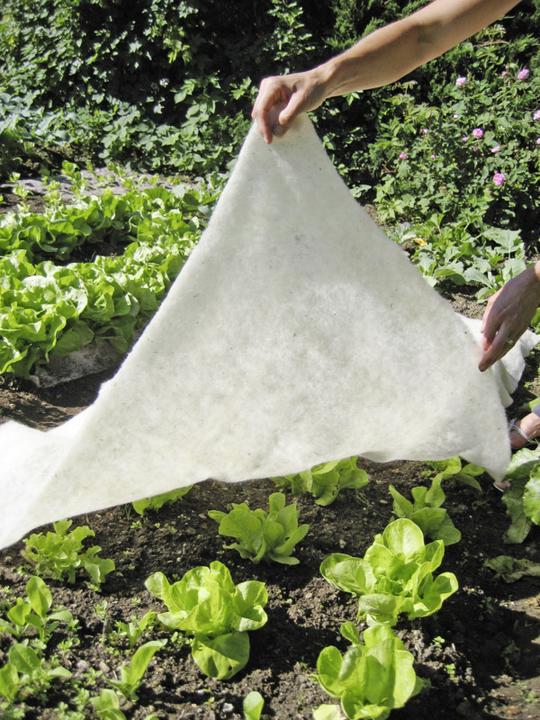 Immagine prodotto Windhager Coperta in pile
