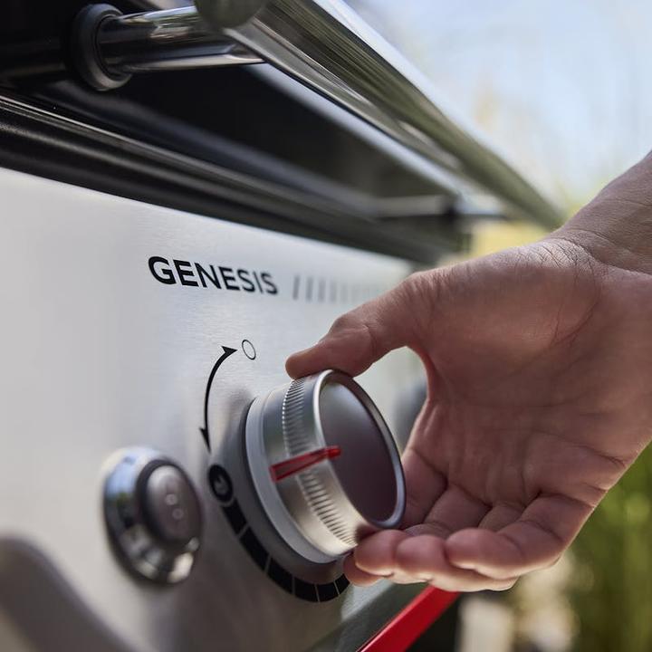 Productafbeelding Weber Genesis E-315W GBS (11.43 kW)
