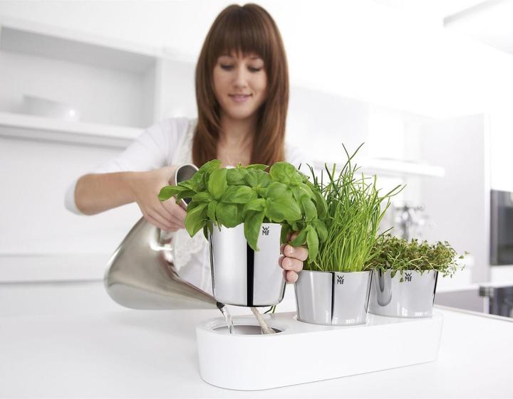 Immagine prodotto WMF Giardinetto di erbe aromatiche (14 cm)