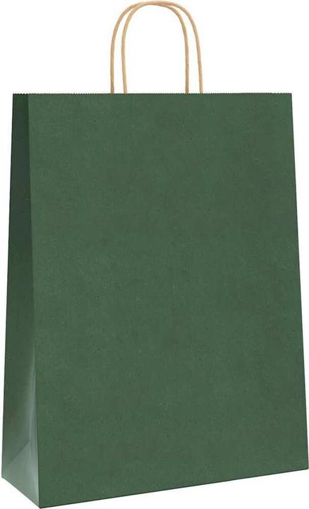 Image du produit VidaXL Sacs en papier kraft 50 pcs. avec anse Vert 32x12x42 cm Sac en papier (Pochette cadeau, 50 x)