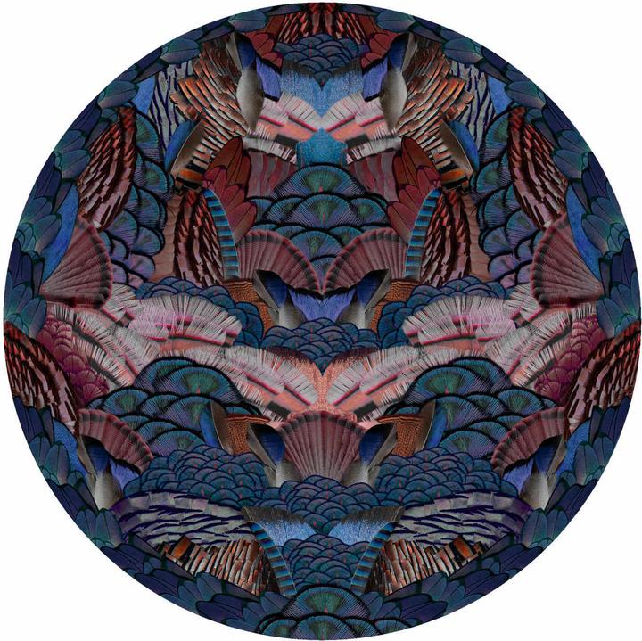 Produktbild Moooi Calligraphy Bird Teppich (250 x 250 cm)