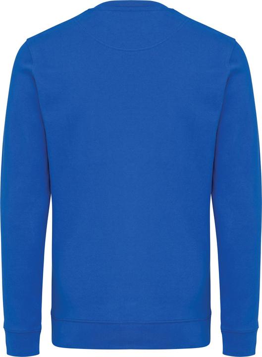 Actual product image Universal Textiles Unisex Adult Zion Recycled Cotton Crew Neck Sweatshirt (XL)