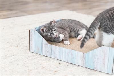 Image du produit Trixie Scratching bed, cardboard, catnip, 45×12×33 cm, turquoise (33 cm, Turquoise)
