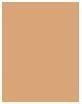 Immagine prodotto Collistar Uniformante (02 Cammeo)