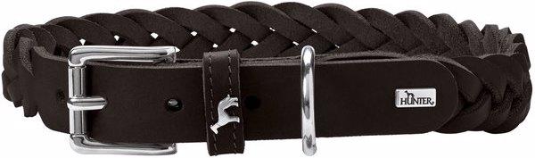 Hunter Collier Solid Education Special (35, 36, 37, 38, 39, 40, 41, 42, 43, 44, Chien)