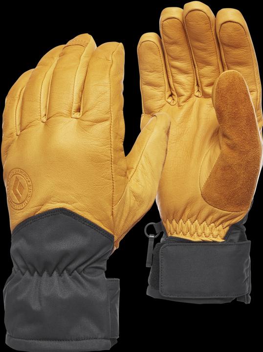 Actual product image Black Diamond Tour Gloves (M)