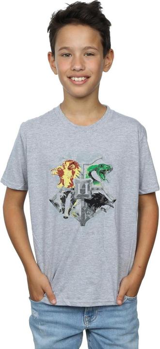 Actual product image Boys Hogwarts Painted Crest T-Shirt (140, 146)