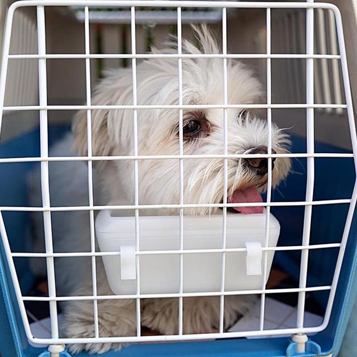 Image du produit Ferplast Atlas ouvert (Chien, Chat, Fermeture de sécurité, Ouverture complète)