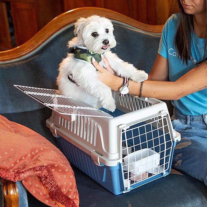 Image du produit Ferplast Atlas ouvert (Chien, Chat, Fermeture de sécurité, Ouverture complète)