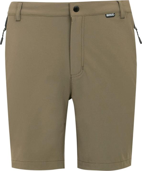 Actual product image Regatta Mens Mountain II Shorts (52 D)